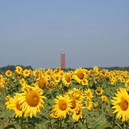 Huijsmansverhuur Type Premium De Luxe Nyaraló